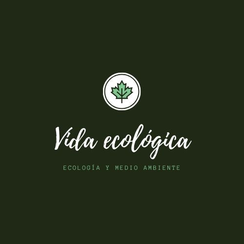 (c) Vidaecologica.info