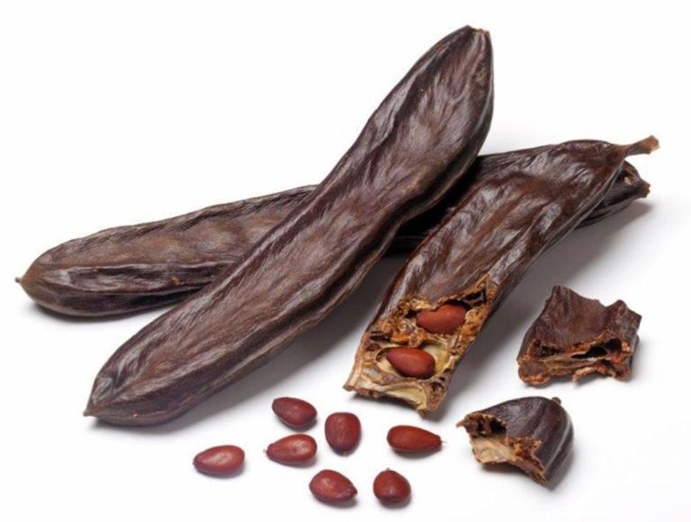Algarrobo: la fruta que sabe a cacao, rica en propiedades beneficiosas