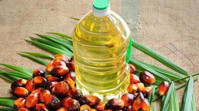 El aceite de palma: porque es malo para la salud, pero también para el Planeta.