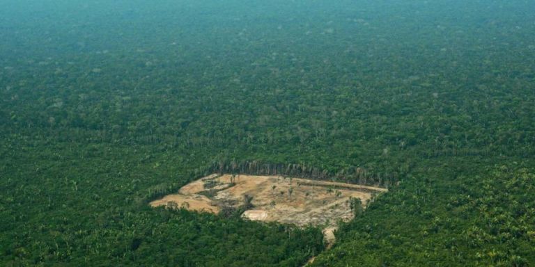 La selva amazónica se salva: el decreto de explotación se suspende