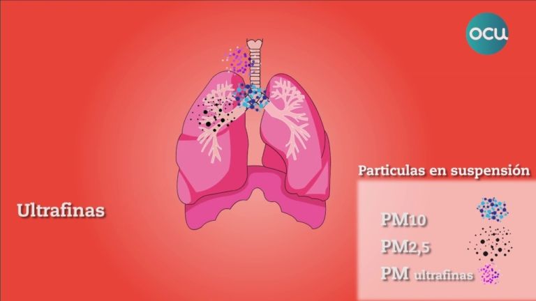 PM10: el preocupante daño de las partículas en nuestra salud