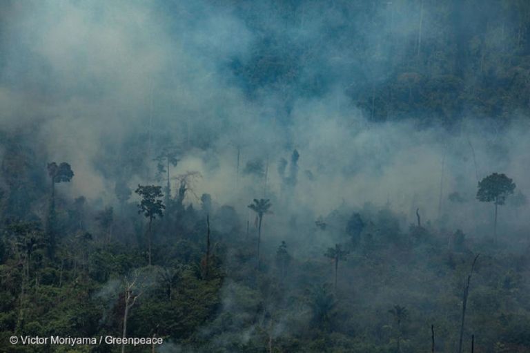 Tierra de incendios, un crimen ambiental de enormes dimensiones…