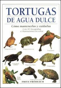 Tortugas acuáticas: especie, alimentación y cómo cuidarlas