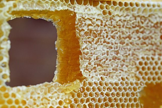 Conocer los múltiples usos de la cera de abeja