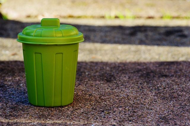 Los diez pasos para convertirse en una escuela sin residuos