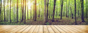 sostenible-madera-terraza