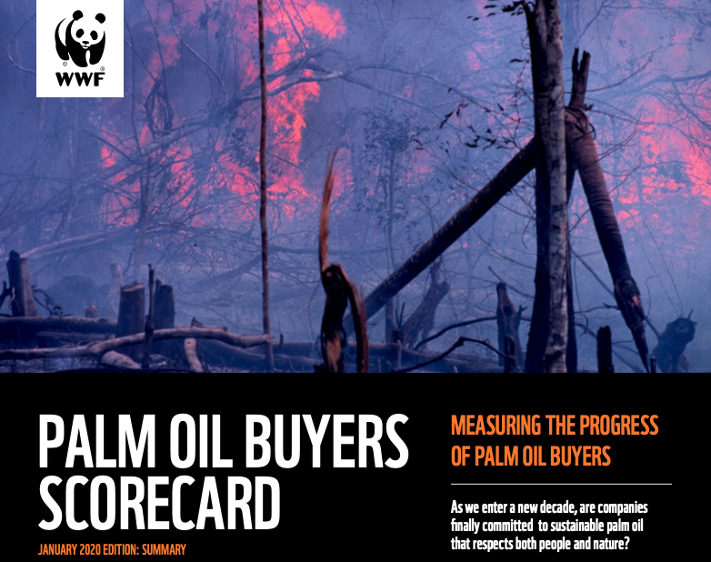 Informe WWF sobre el aceite de palma sostenible 2020