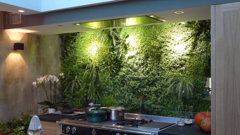 Muro verde, principal fuente de humedad en el hogar