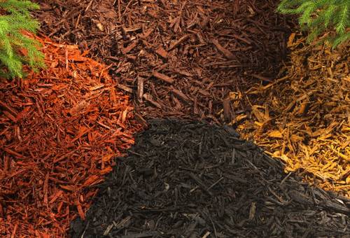 Mulching: Técnica de Permacultura para el Césped Mulching: Técnica de Permacultura para el Césped
