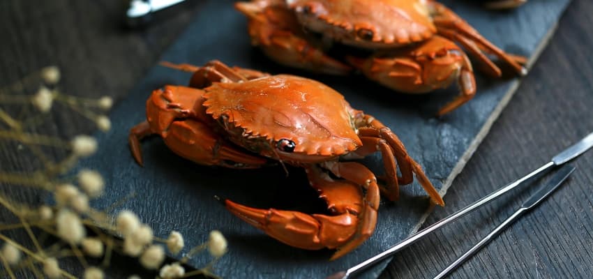 Crustáceos: qué son, tipos, características y ejemplos