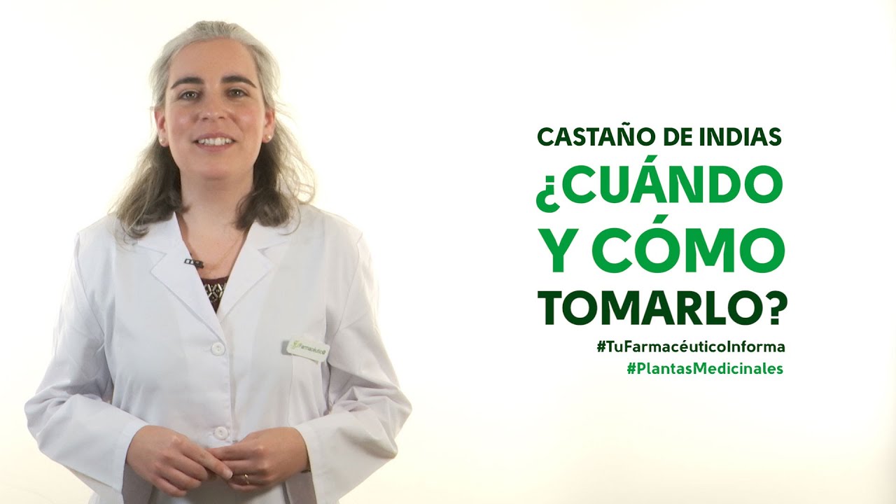 Castaño de Indias: Propiedades y Usos Medicinales