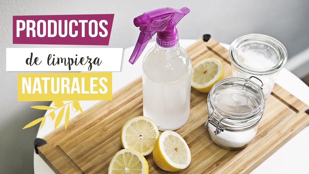 Alternativas a los Productos de Limpieza Convencionales