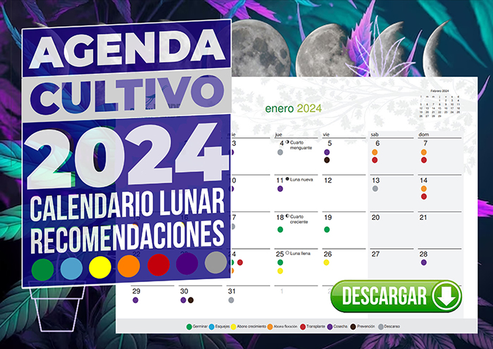 Jardinería Según el Calendario Lunar: Consejos y Beneficios Jardinería Según el Calendario Lunar: Consejos y Beneficios