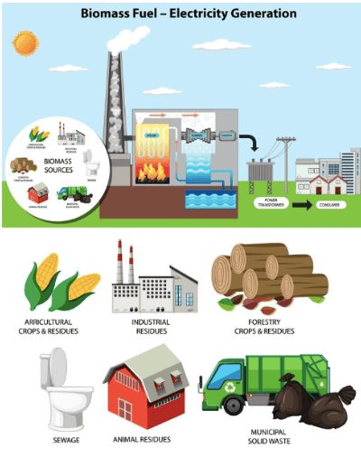 Estufas de Biomasa: Calefacción Ecológica y Ventajas