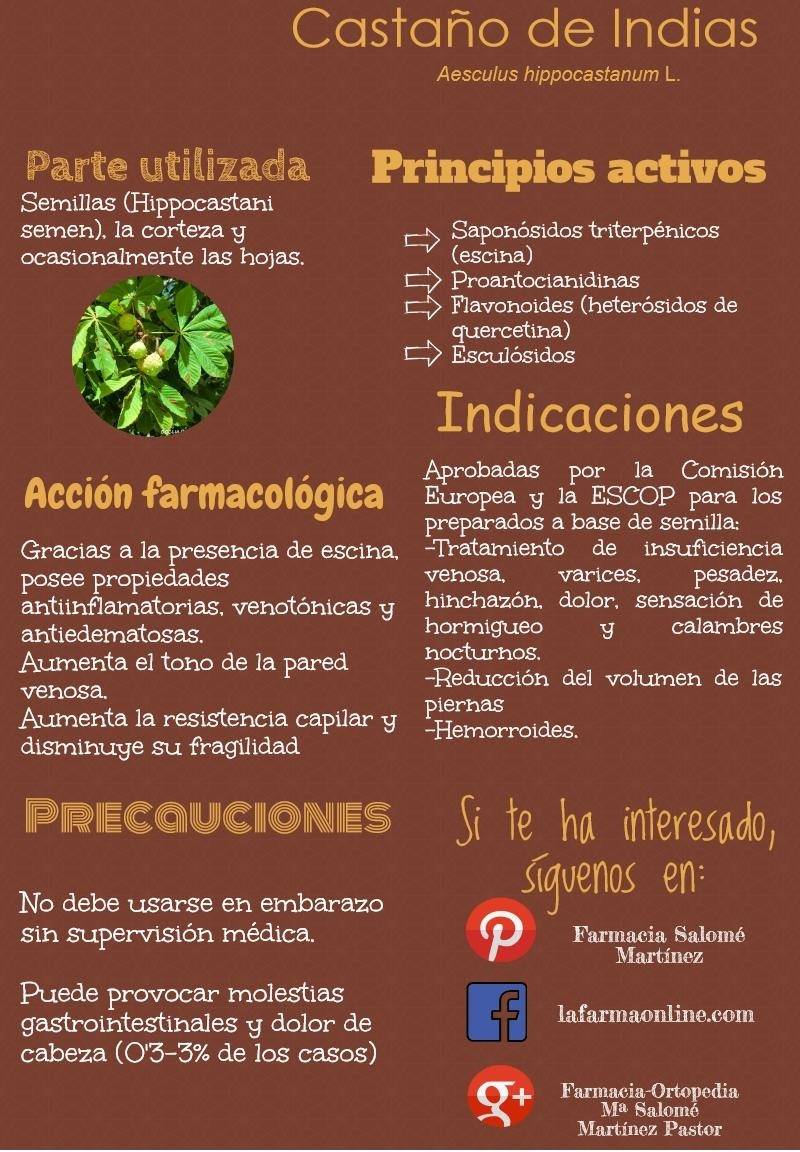 Castaño de Indias: Propiedades y Usos Medicinales