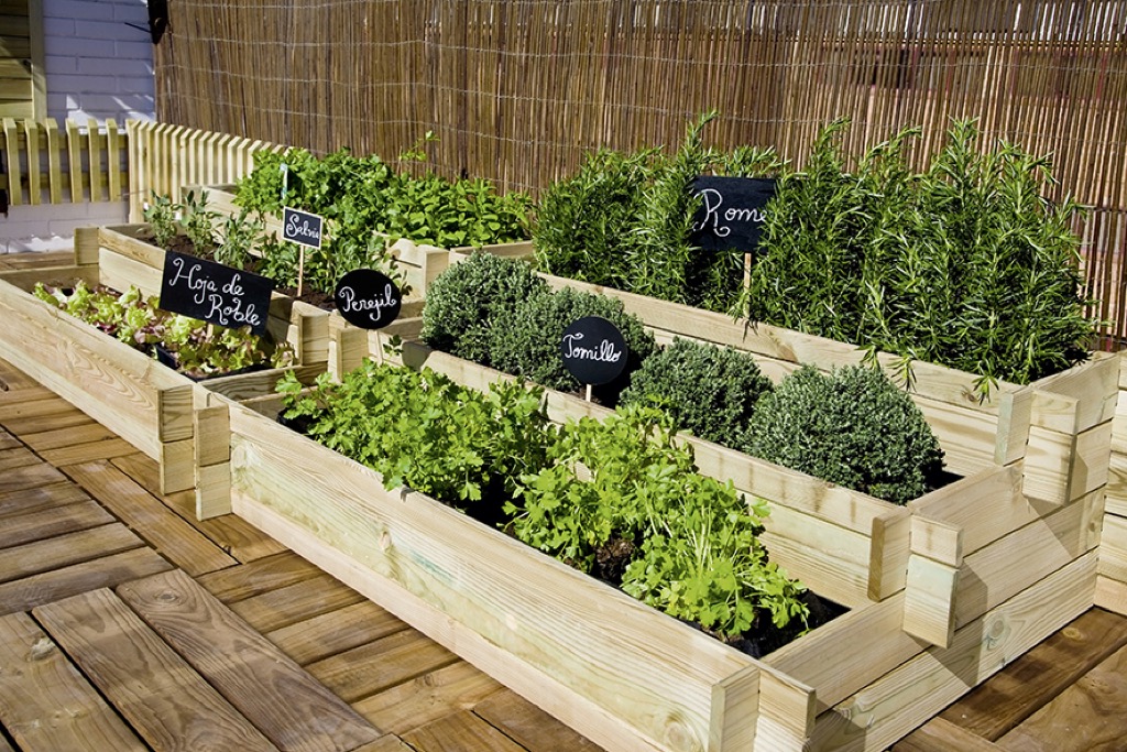 Huerto Urbano en Balcón: Consejos para Cultivar en Espacios Pequeños
