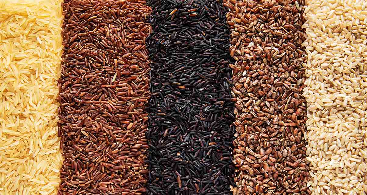 Arroz de Todos los Colores: Variedades y Beneficios Arroz de Todos los Colores: Variedades y Beneficios