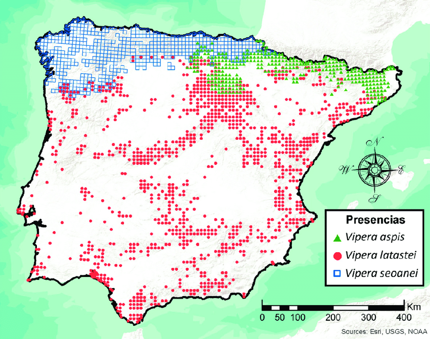 Víbora: Tipos, Hábitat y Curiosidades