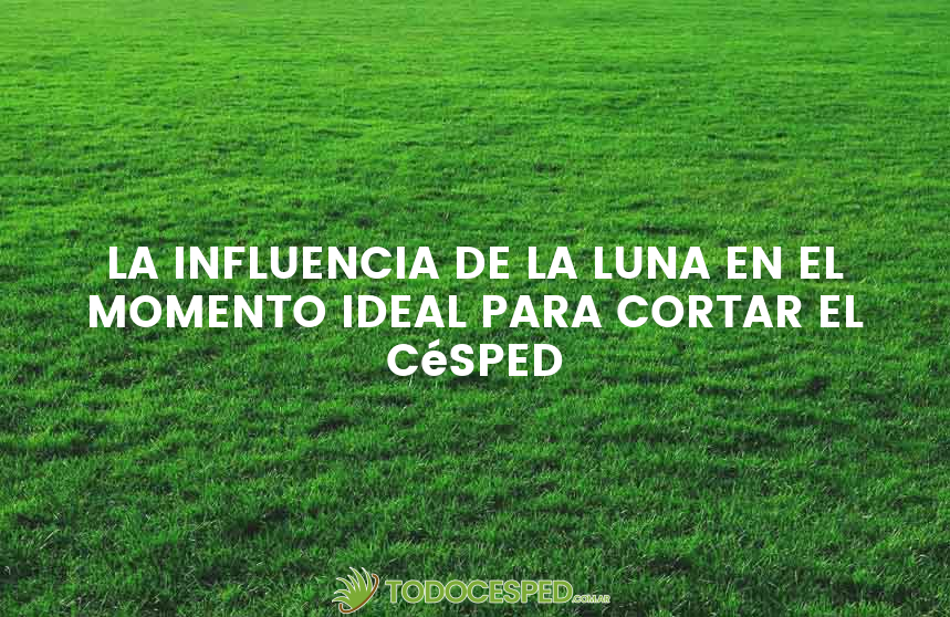 Jardinería Según el Calendario Lunar: Consejos y Beneficios Jardinería Según el Calendario Lunar: Consejos y Beneficios