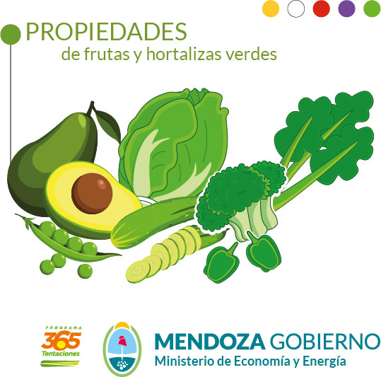 Clorofila: Qué Es, Beneficios y Fuentes Naturales Clorofila: Qué Es, Beneficios y Fuentes Naturales