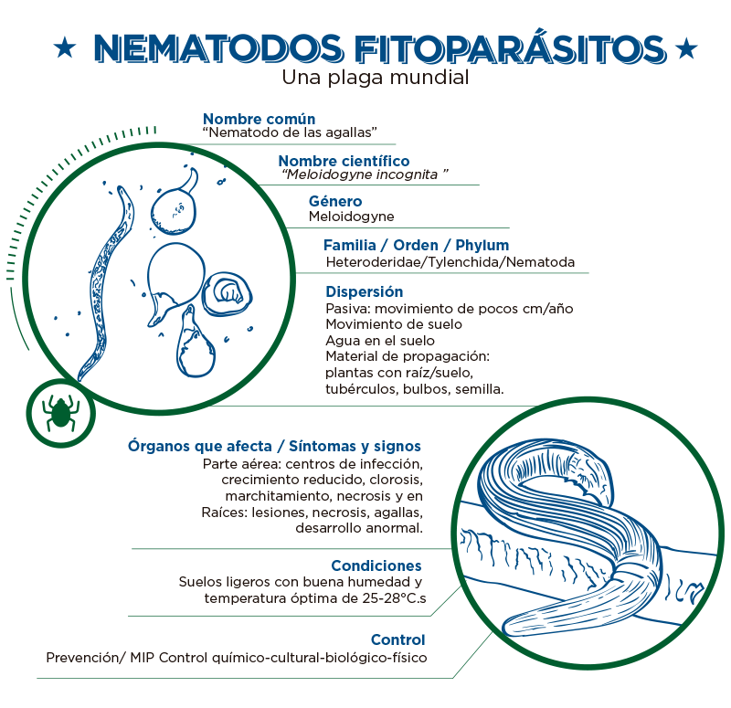 Nematodos: Rol en la Agricultura y Control Biológico