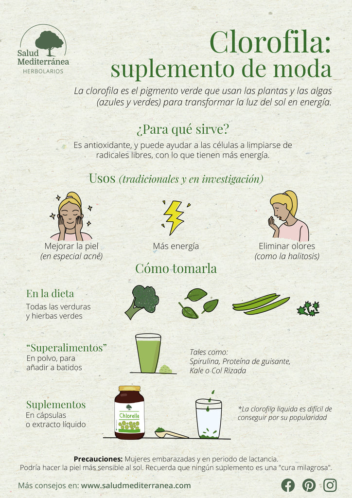 Clorofila: Qué Es, Beneficios y Fuentes Naturales Clorofila: Qué Es, Beneficios y Fuentes Naturales
