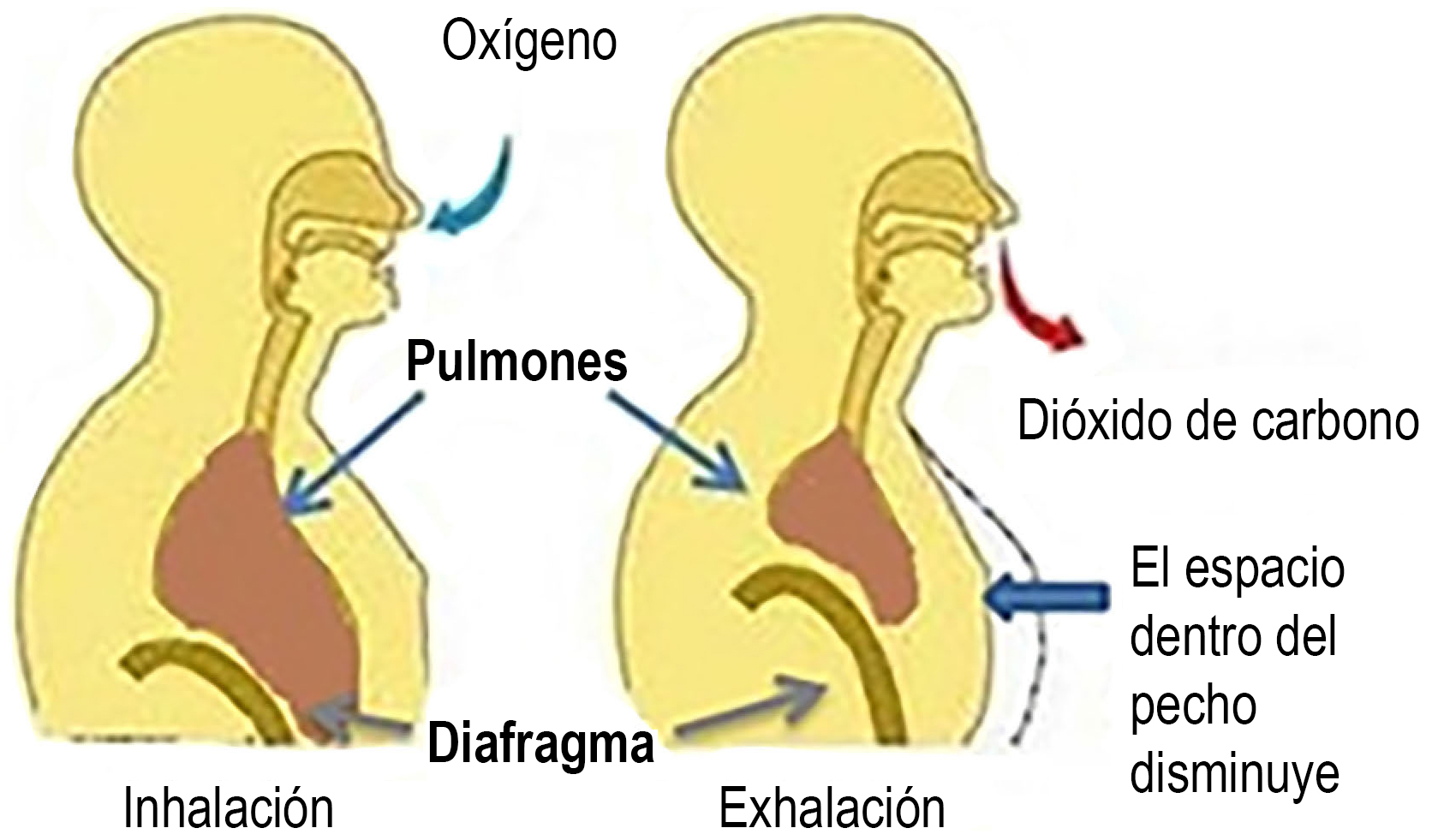 Monóxido de Carbono: Peligros y Consejos para su Prevención
