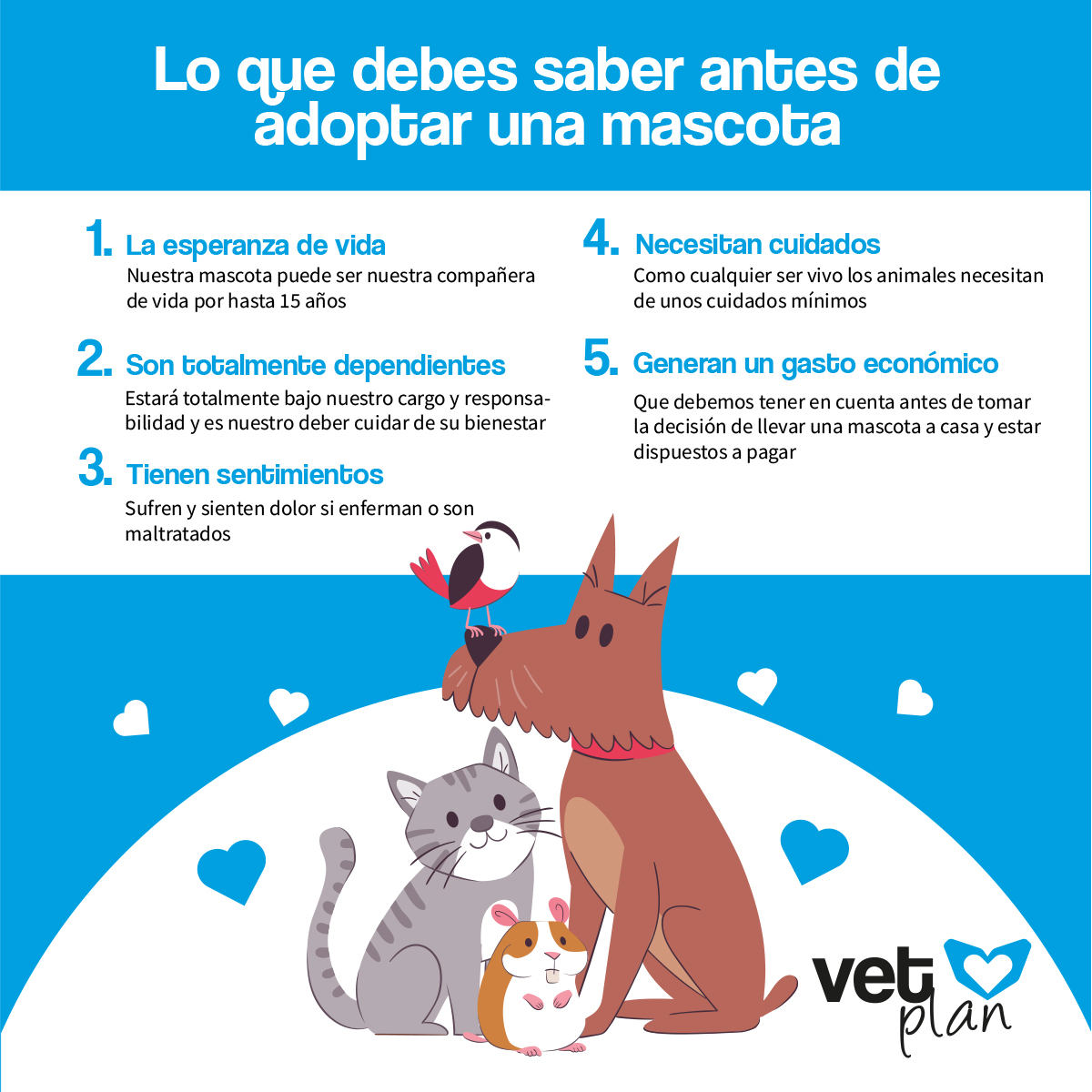 Mascotas: Cuidados y Consejos para un Hogar Responsable Mascotas: Cuidados y Consejos para un Hogar Responsable