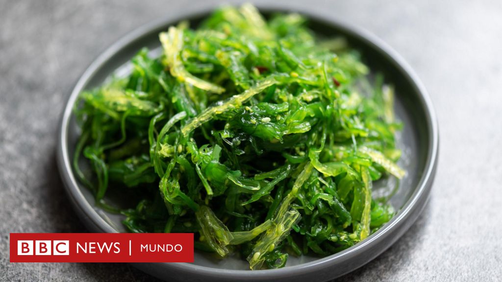Algas: Beneficios para una Dieta Sana y Orgánica