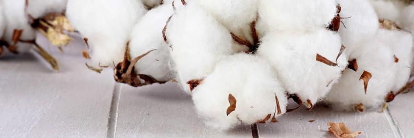 Cáñamo y Lino: Fibras Naturales para Ropa Sostenible Cáñamo y Lino: Fibras Naturales para Ropa Sostenible