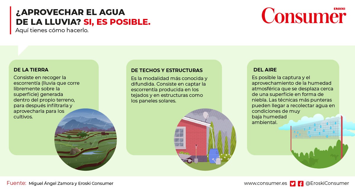 Cómo Aprovechar el Agua de Lluvia en el Jardín Cómo Aprovechar el Agua de Lluvia en el Jardín