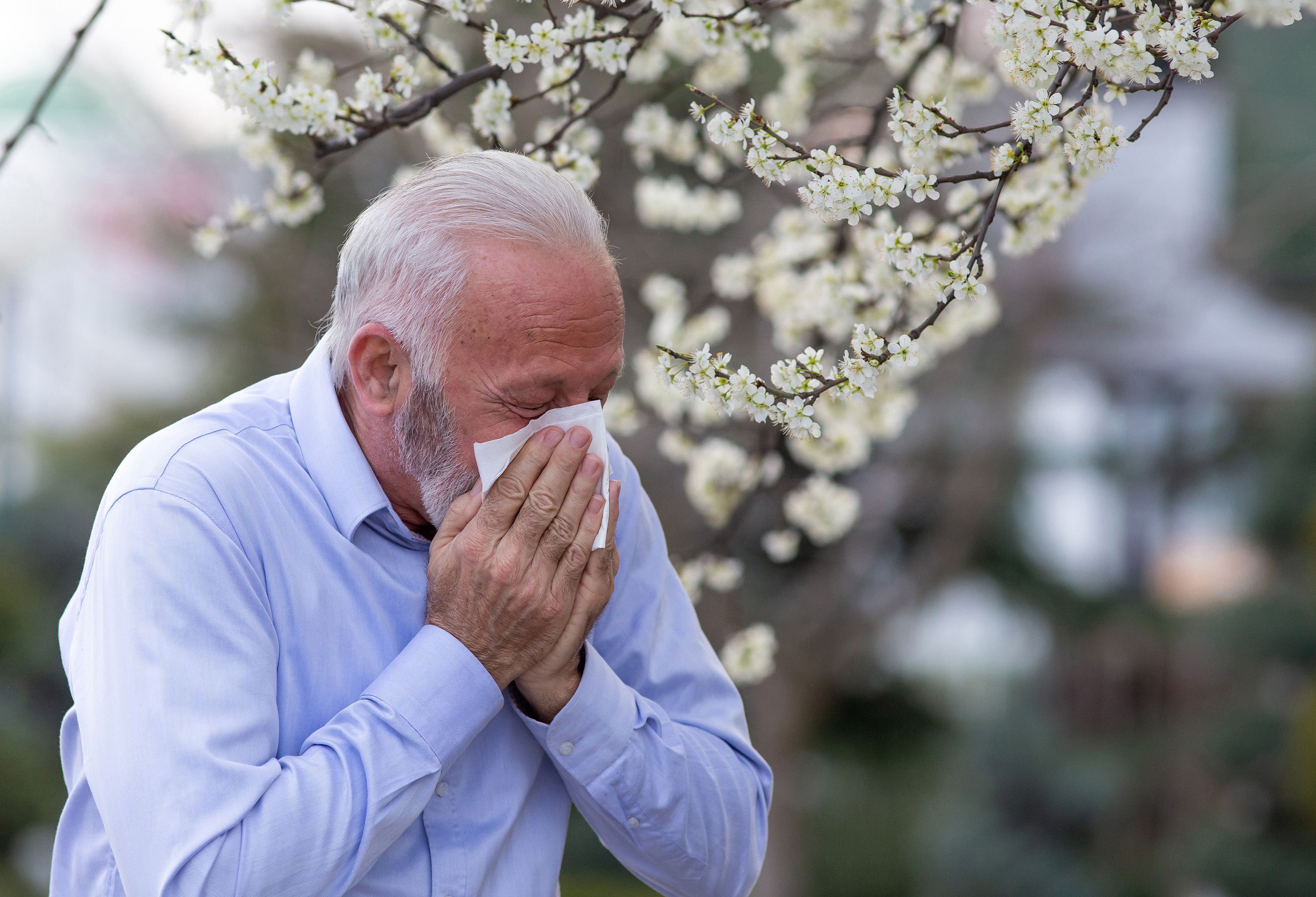 Primavera y Alergias al Polen: Cómo Lidiar con las Polinosis