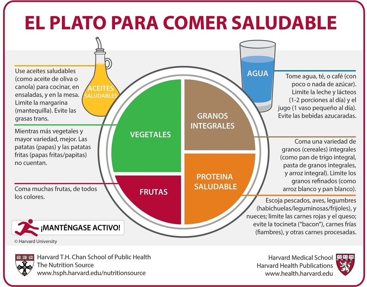 Alimentos Bio y Naturales para una Vida Saludable
