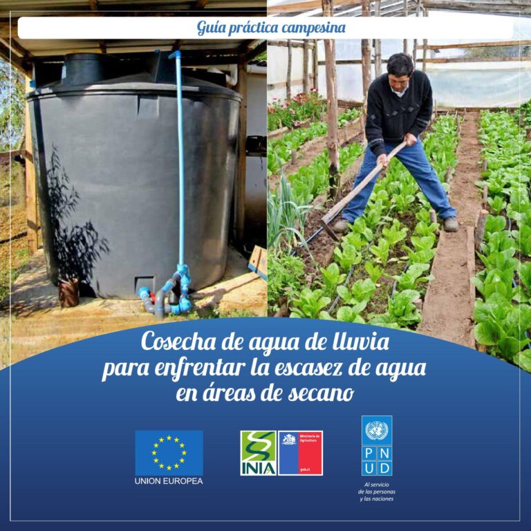 Cómo Aprovechar el Agua de Lluvia en el Jardín Cómo Aprovechar el Agua de Lluvia en el Jardín