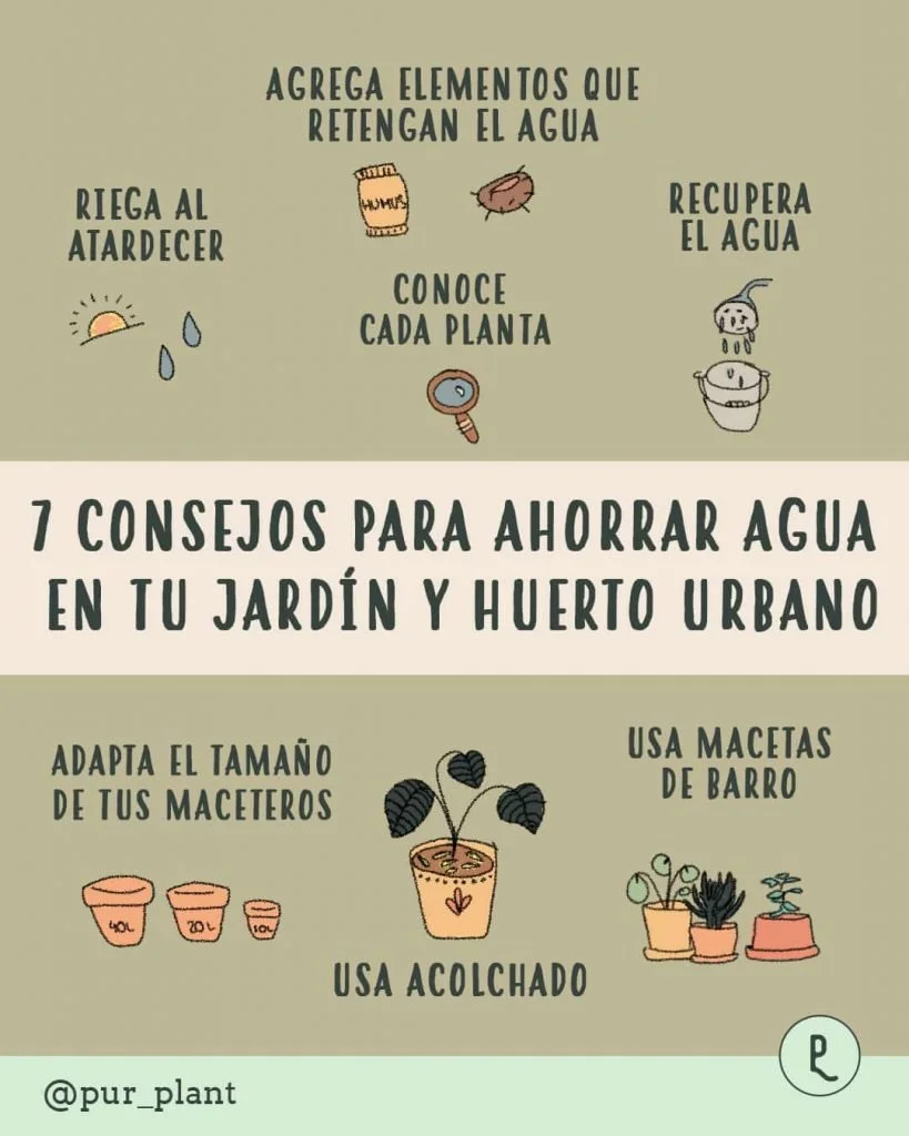 Riego Inteligente: Cómo Ahorra Agua y Mejorar el Rendimiento del Huerto Riego Inteligente: Cómo Ahorra Agua y Mejorar el Rendimiento del Huerto