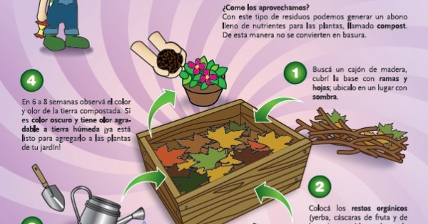 Compost: Guía para Hacer Compost Casero en el Hogar