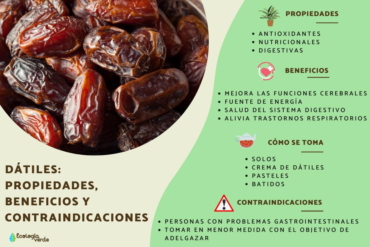 Dátil: Propiedades, Beneficios y Cultivo Dátil: Propiedades, Beneficios y Cultivo