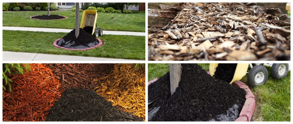 Por Qué y Cómo Cubrir el Jardín: Beneficios del Mulching