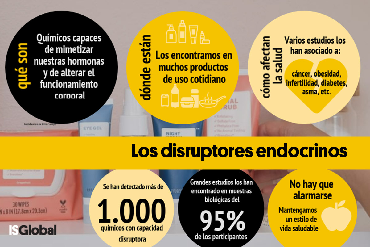 Perturbadores Endocrinos: Qué Son y Cómo Reducir su Exposición Perturbadores Endocrinos: Qué Son y Cómo Reducir su Exposición