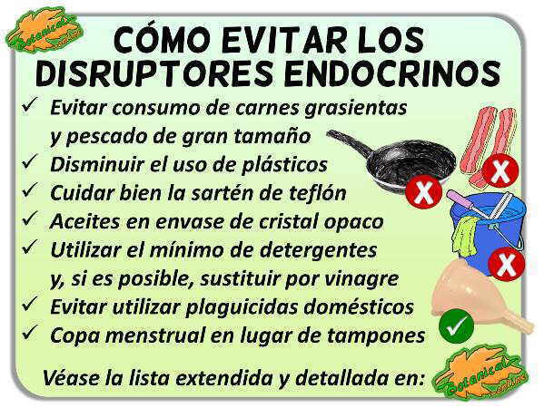 Perturbadores Endocrinos: Qué Son y Cómo Reducir su Exposición Perturbadores Endocrinos: Qué Son y Cómo Reducir su Exposición