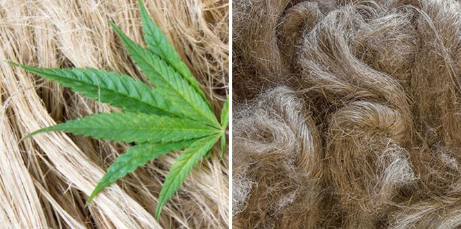 Cáñamo y Lino: Fibras Naturales para Ropa Sostenible Cáñamo y Lino: Fibras Naturales para Ropa Sostenible