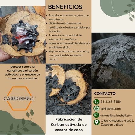 Carbón Activo: Usos y Beneficios en la Purificación