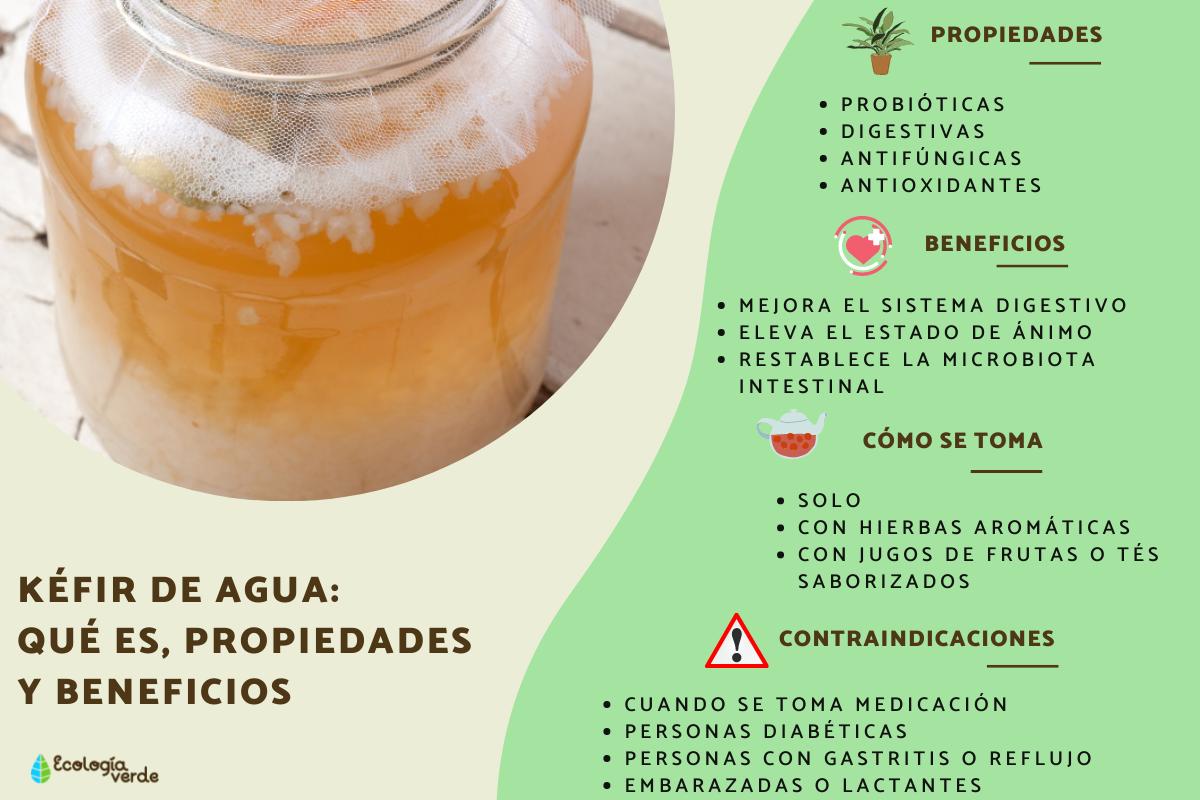Kéfir de Agua: Beneficios y Cómo Prepararlo en Casa