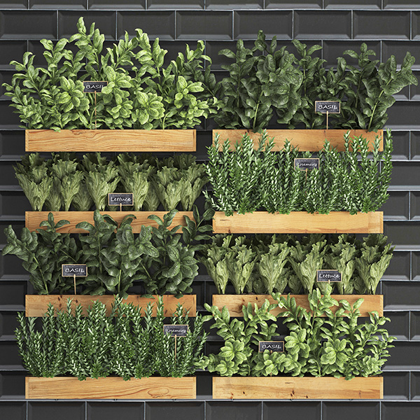 Huerto Urbano en Balcón: Consejos para Cultivar en Espacios Pequeños