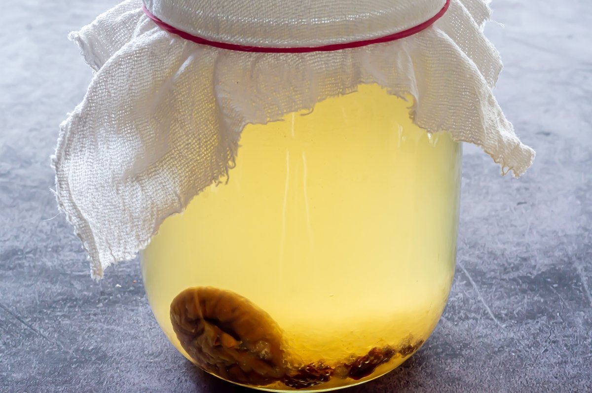 Kéfir de Agua: Beneficios y Cómo Prepararlo en Casa