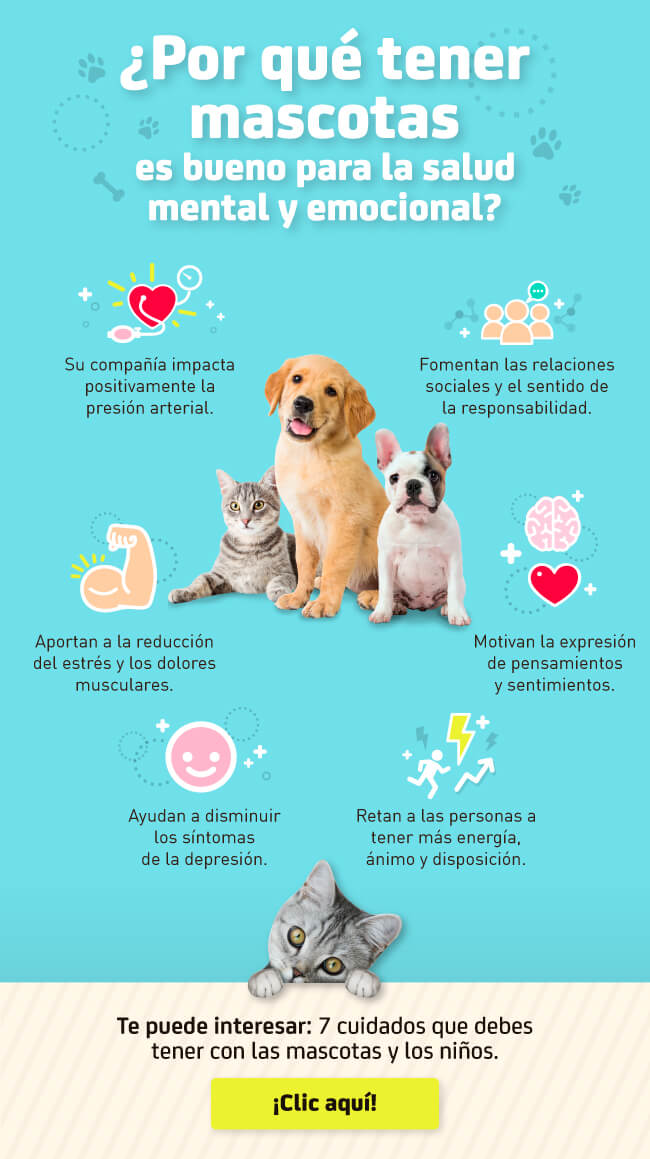 Mascotas: Cuidados y Consejos para un Hogar Responsable Mascotas: Cuidados y Consejos para un Hogar Responsable