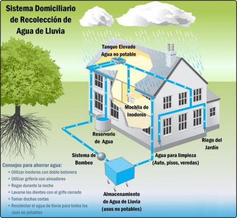 Viviendas Bioclimáticas: Diseño Sostenible y Ahorro Energético