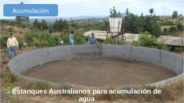 Cómo Aprovechar el Agua de Lluvia en el Jardín Cómo Aprovechar el Agua de Lluvia en el Jardín
