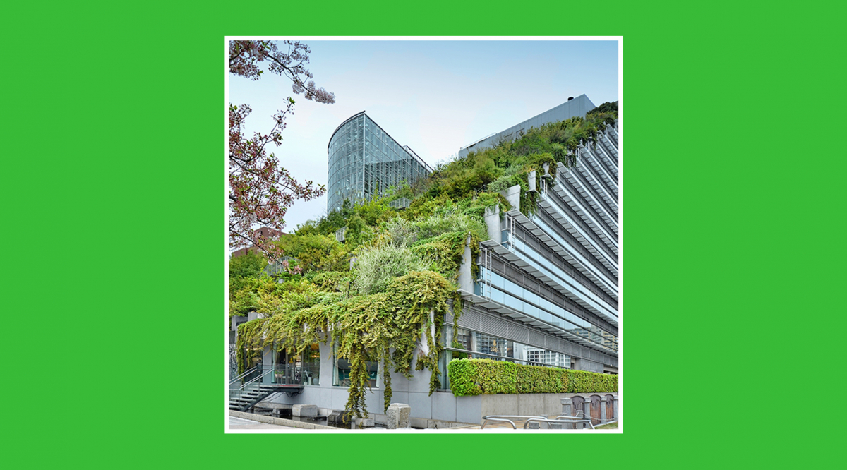 Techos Verdes: Cómo Instalar una Cubierta Ecológica en Casa Techos Verdes: Cómo Instalar una Cubierta Ecológica en Casa