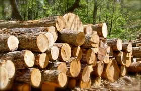 Materiales Orgánicos para la Construcción y el Desarrollo Sostenible Materiales Orgánicos para la Construcción y el Desarrollo Sostenible